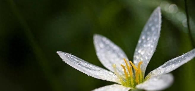 当亲人在自己眼前离世,当亲人离世时