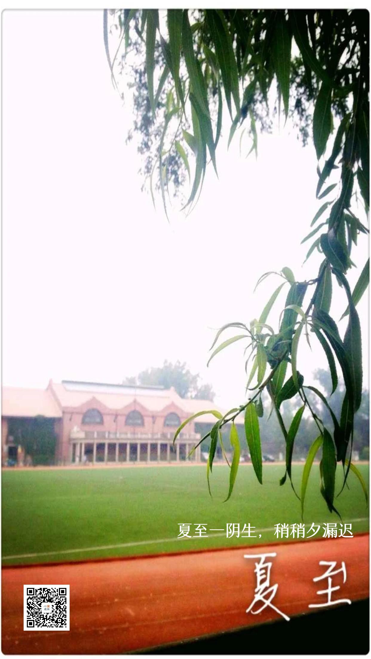 清华园秋色美图,北京清华园赏秋