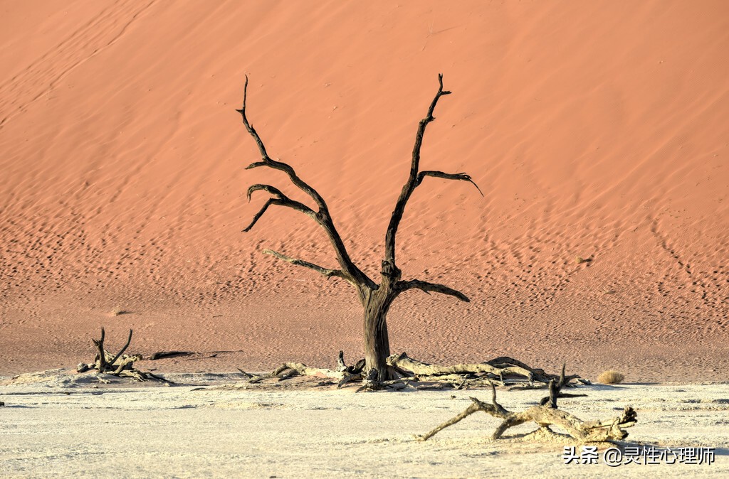 亲人去世该做的事,如果亲人去世了需要做什么