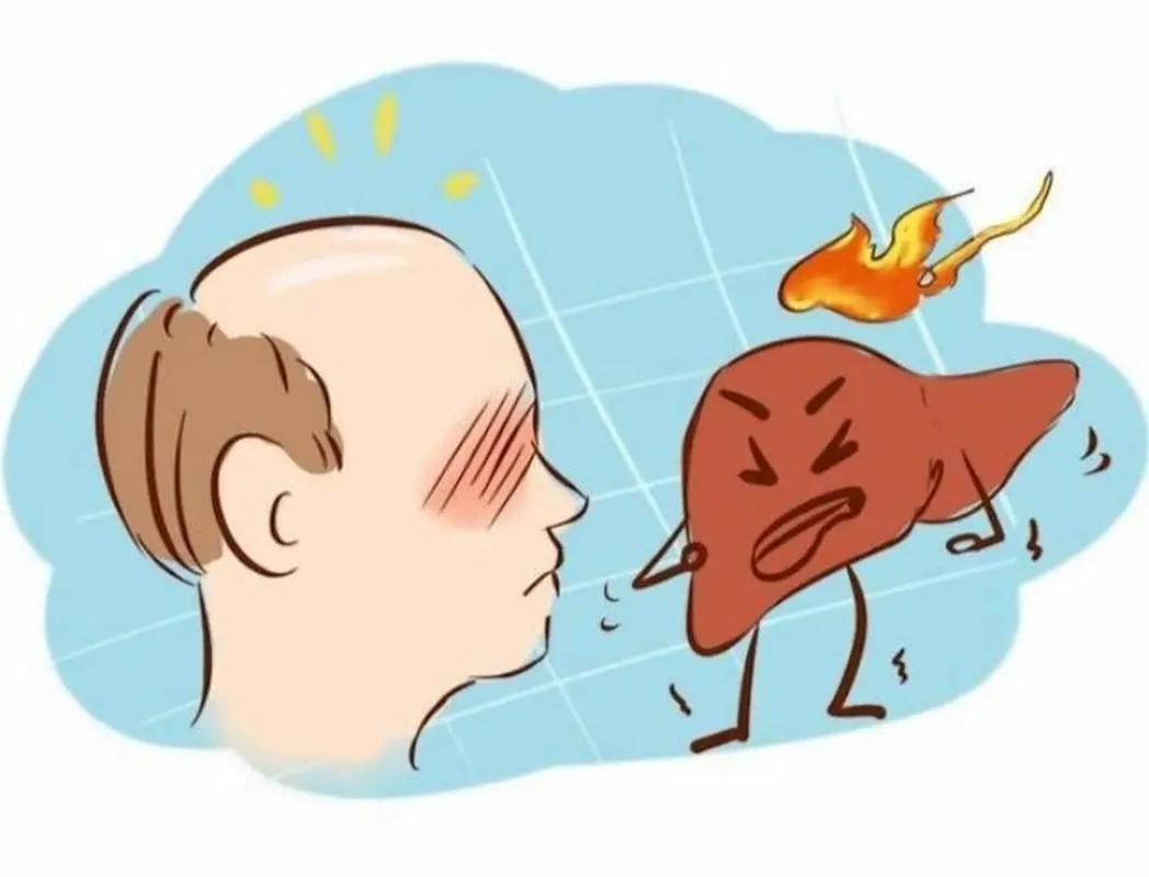 吃什么中药调理肝热,满头大汗吃什么调理