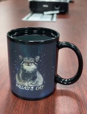 中国最大无人动物园,中国十大动物园红山动物园