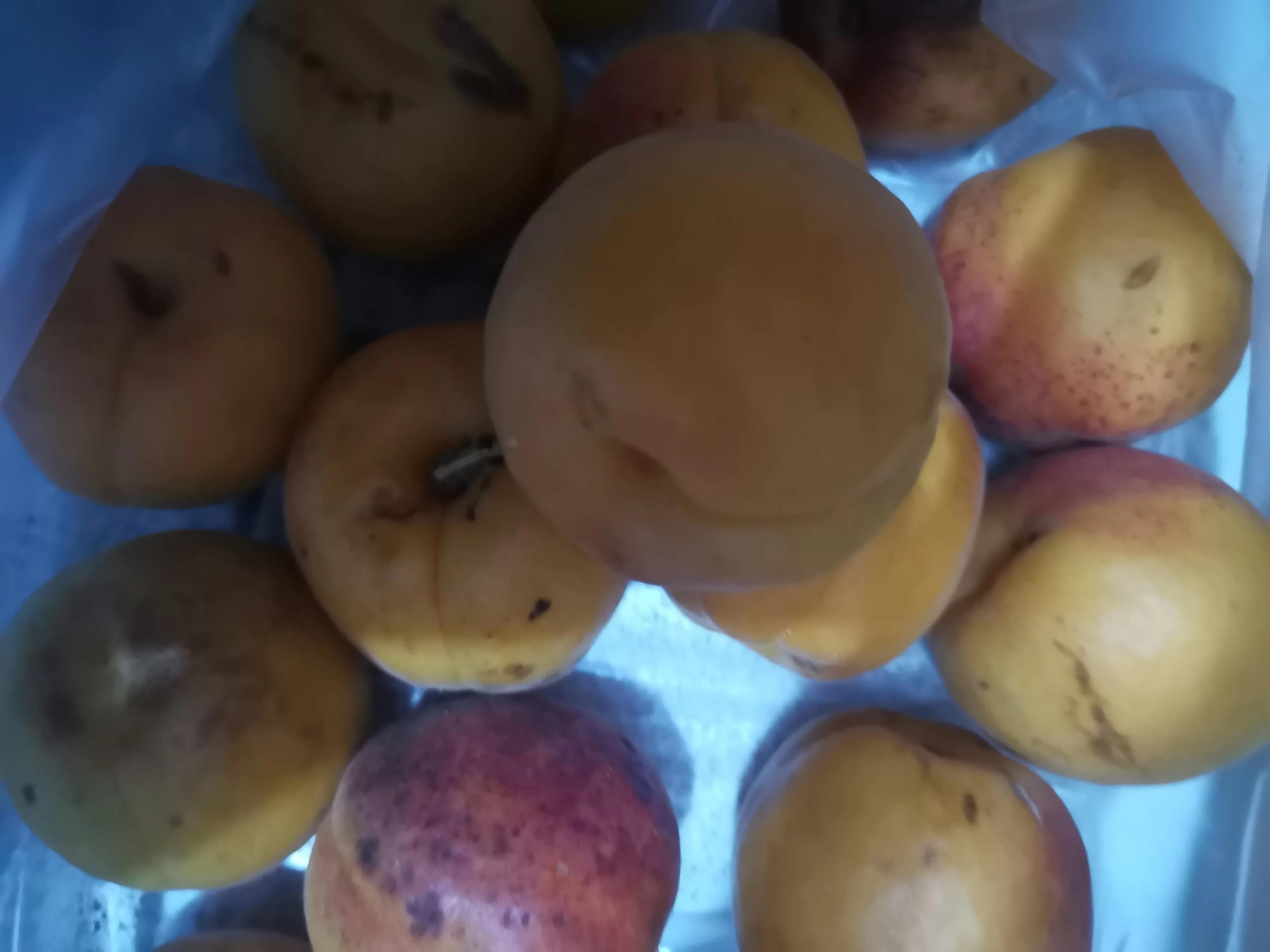 期待夏天水果盛宴,水果盛宴活动方案