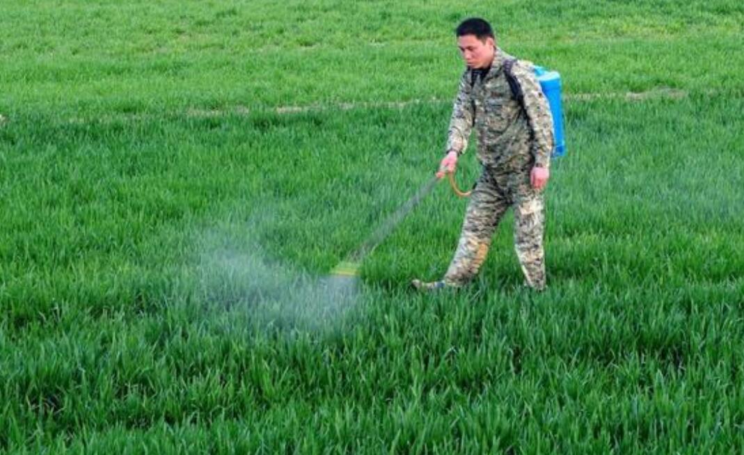 磷酸二氢钾和尿素怎么对比最佳,磷酸二氢钾与尿素怎么使用效果好