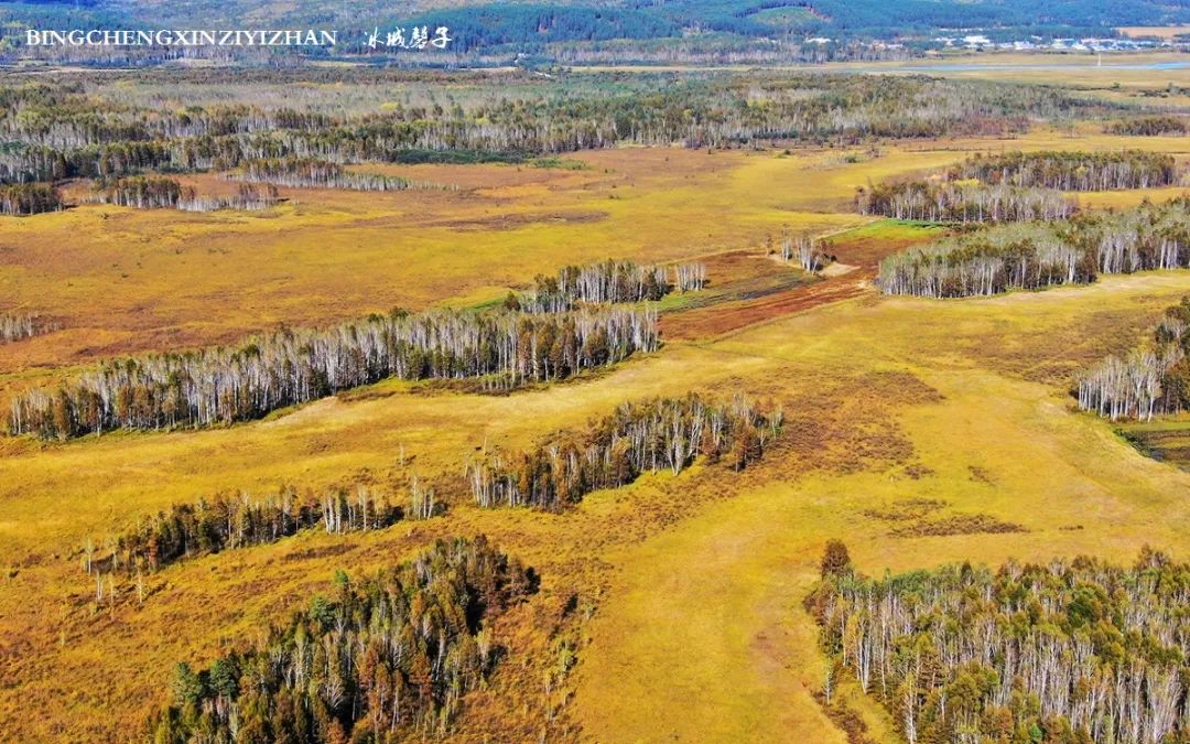 秋天大兴安岭最美的地方,秋天美丽的大兴安岭