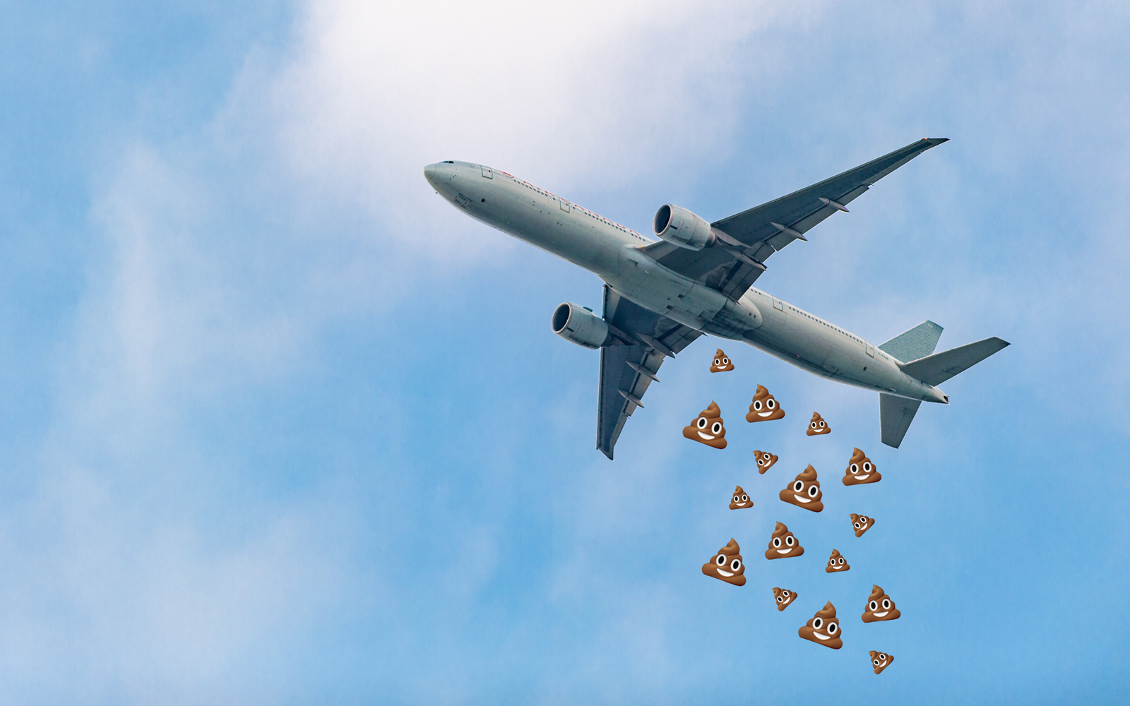 飞机上的秘密飞行员,空姐揭露飞机上的秘密