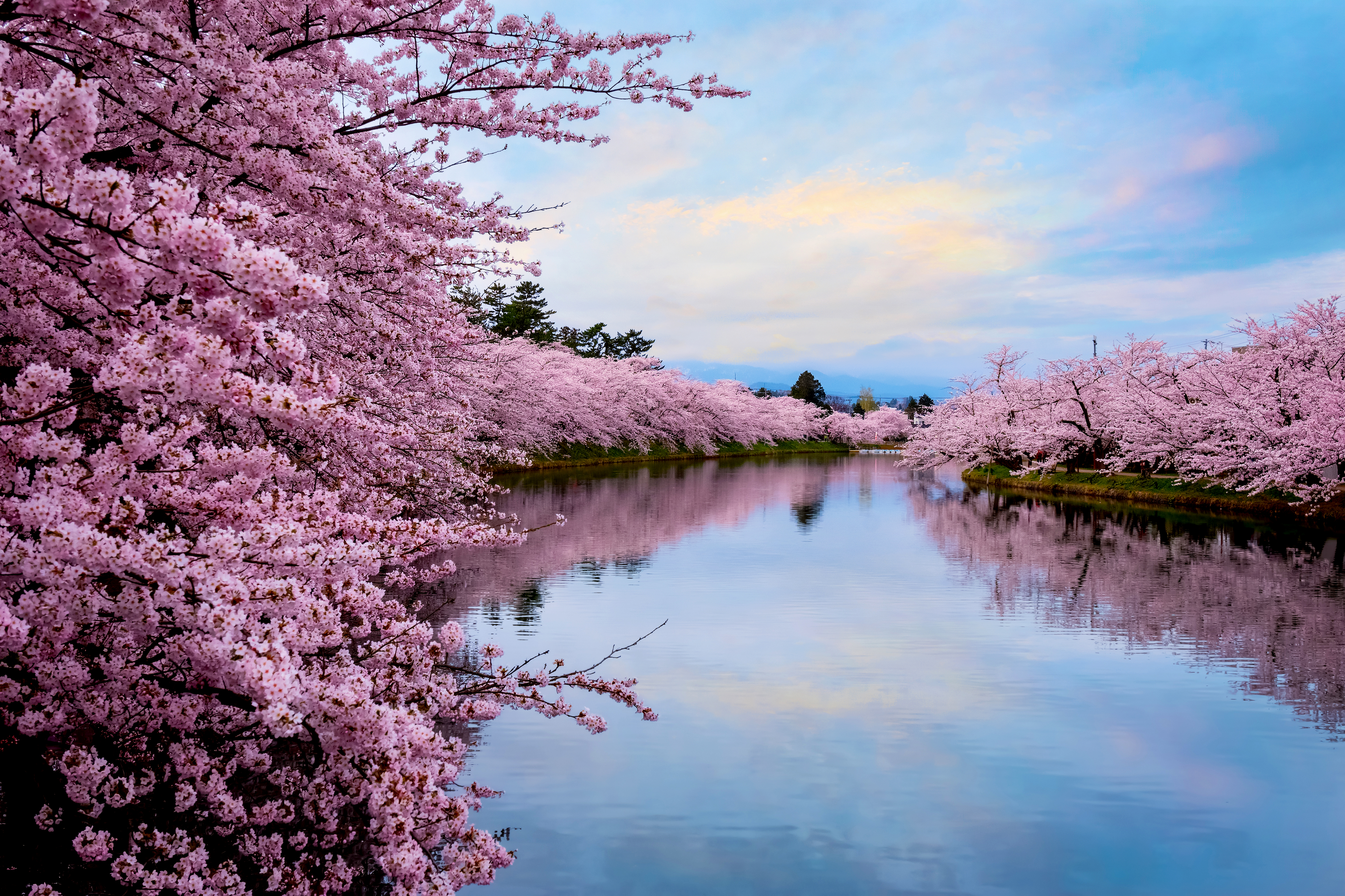 关于春天的100首经典诗词,十首诗词最懂春天的美