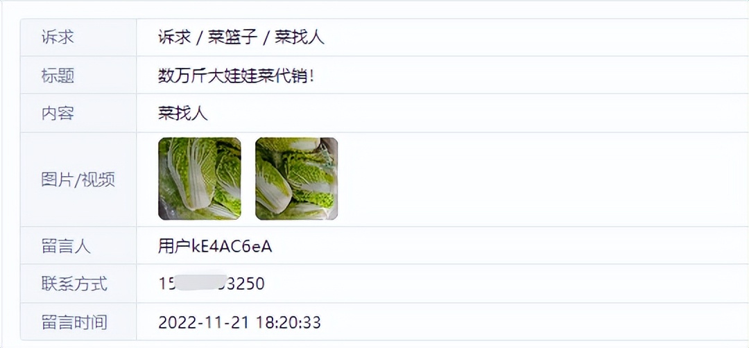 收购价45元一斤蔬菜,四五十万斤蔬菜滞销菜农寻销路