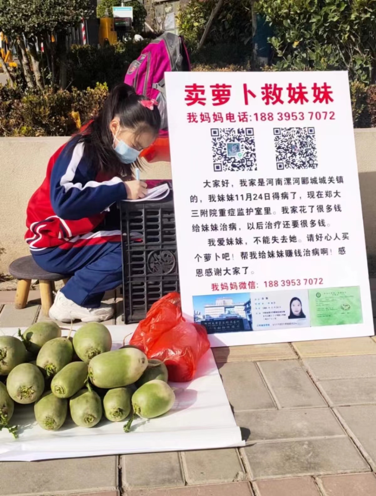 “卖萝卜救妹妹”后续┃爱心人士捐的5000斤萝卜已卖完，大爱捐助仍在继续……