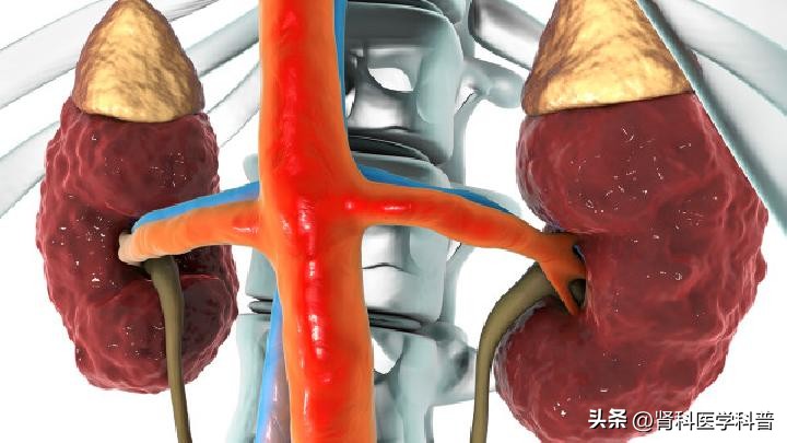 右肾萎缩是什么病严重吗,右肾萎缩是什么病
