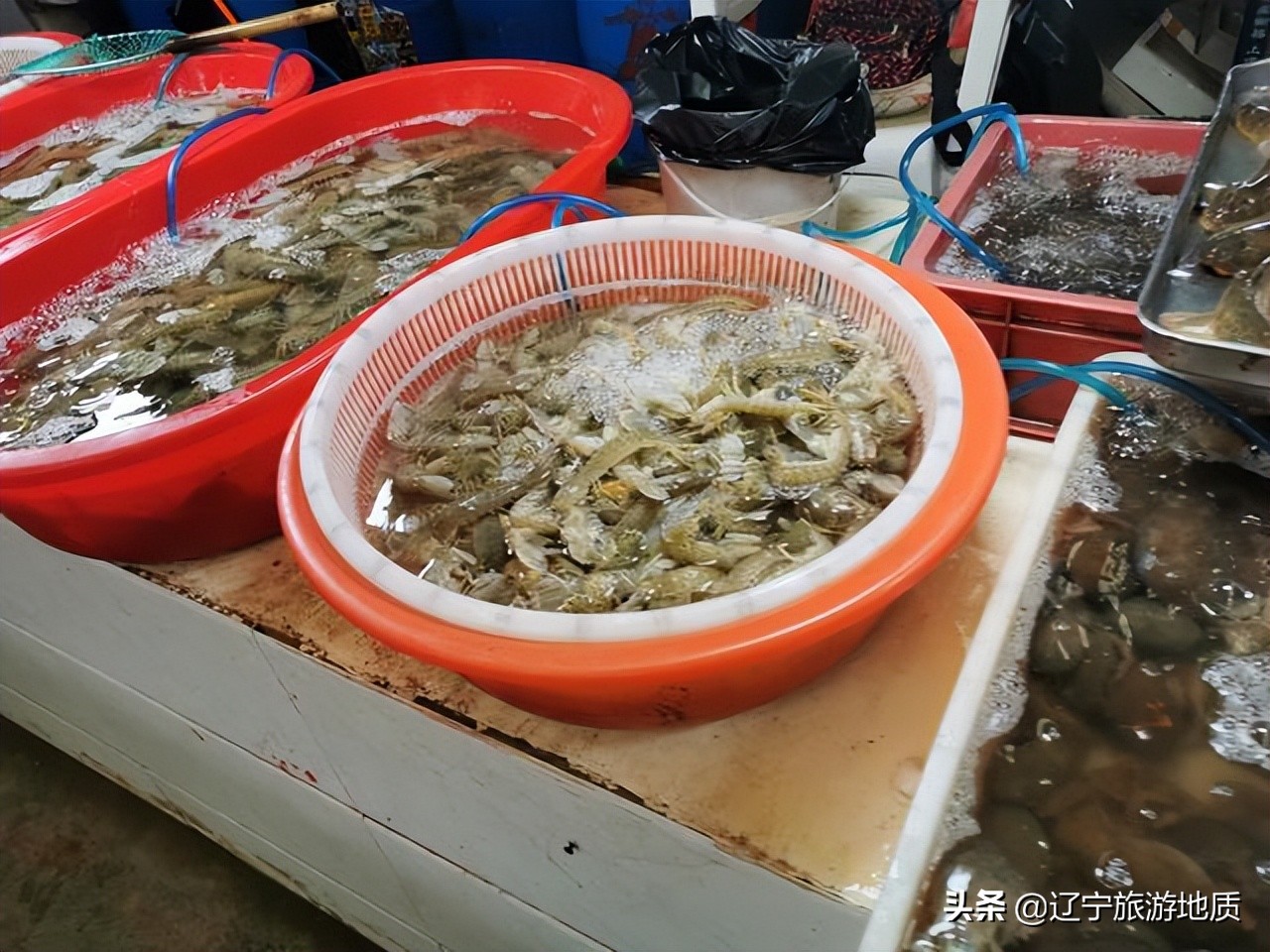 锦州哪的海鲜便宜又实惠,锦州海鲜最便宜