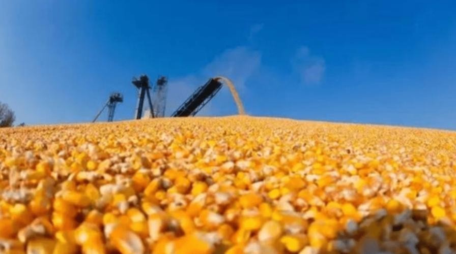 反制美国关税最新消息,反制美国限制技术出口