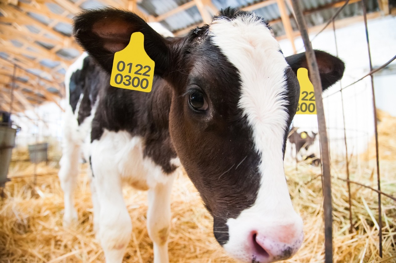 创业十几年心路历程,创业七年的终极经验