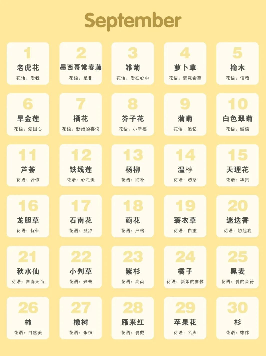 365生日花语大全,关于生日的花的花语