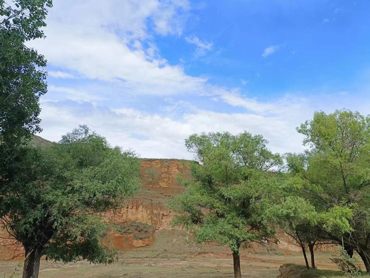 兄弟姐妹之间永远不要空着手来往,人到老了才明白兄弟姐妹之间交往