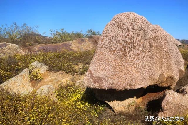 大连金普新区石槽村的那片玫瑰石，你去看过吗？