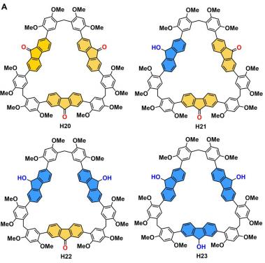PXG/H13在非共价相互作用下，是如何有效阻止PXG反应的