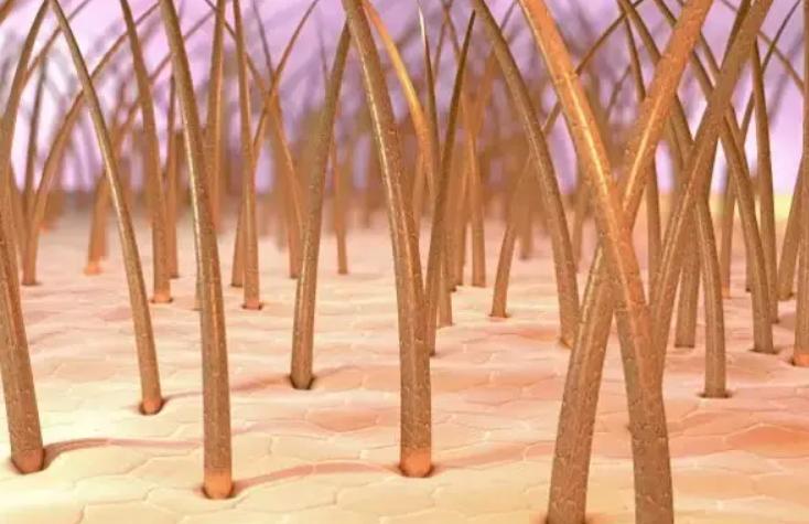 头皮护理油是智商税吗,头皮护理是智商税吗男士