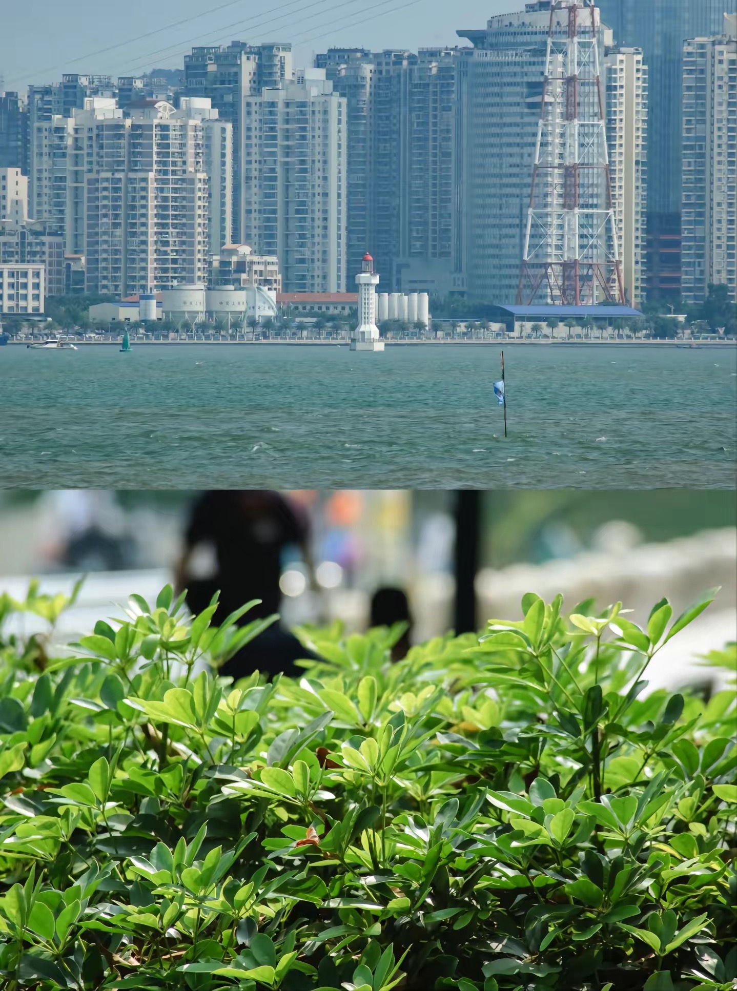 适合小白的ccd相机推荐,拍照好的ccd相机推荐