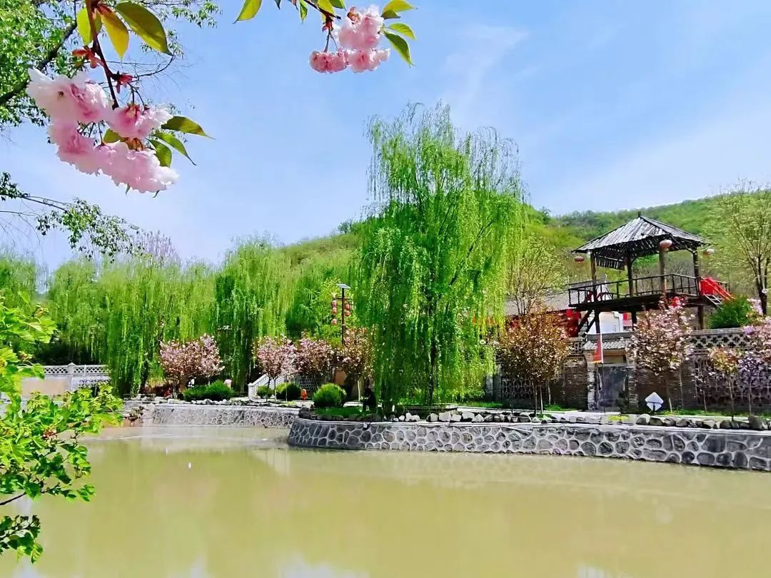 甘肃泾川讲解,甘肃泾川真实的现状