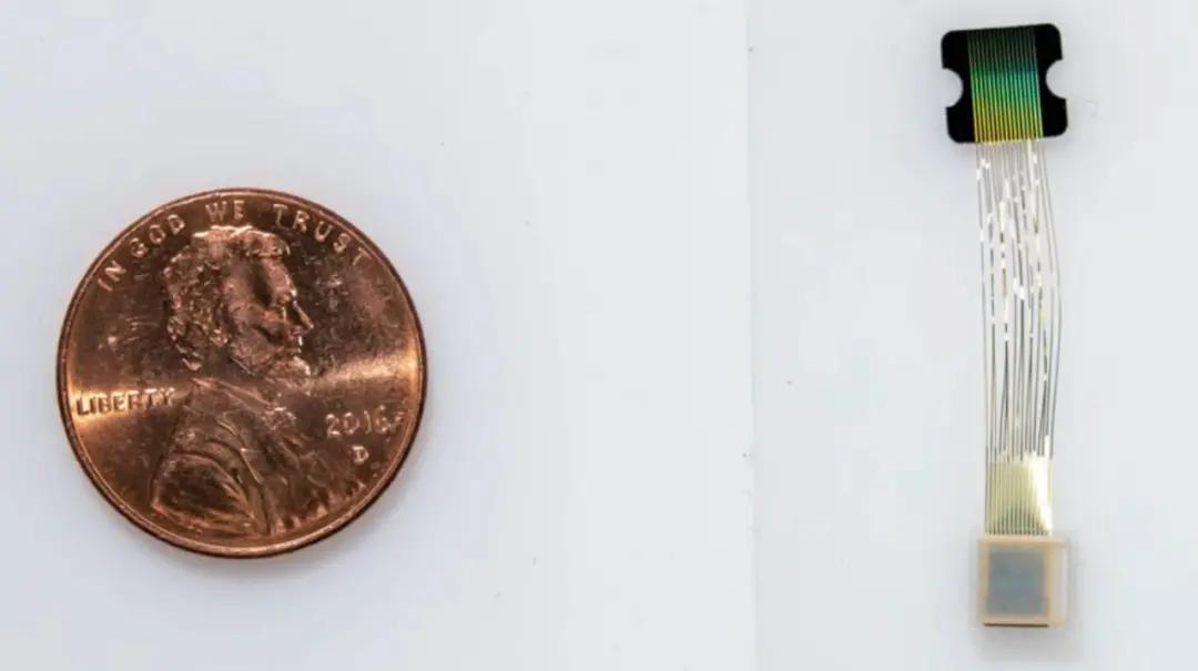 瑞士瘫痪男子,马斯克人脑接口芯片