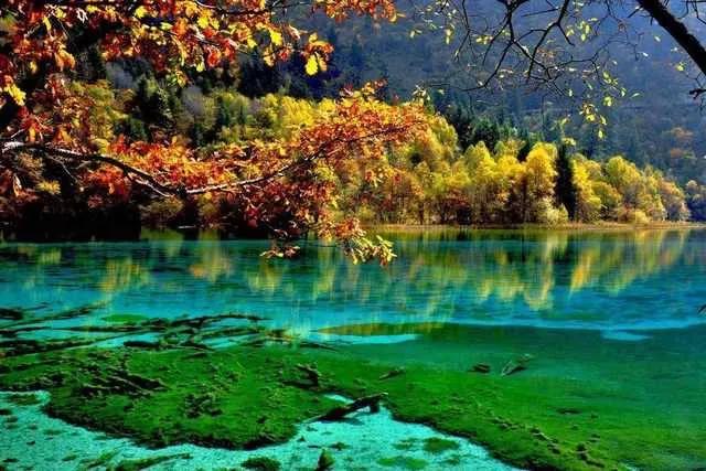 人间仙境九寨沟图片,人间仙境九寨风景图片