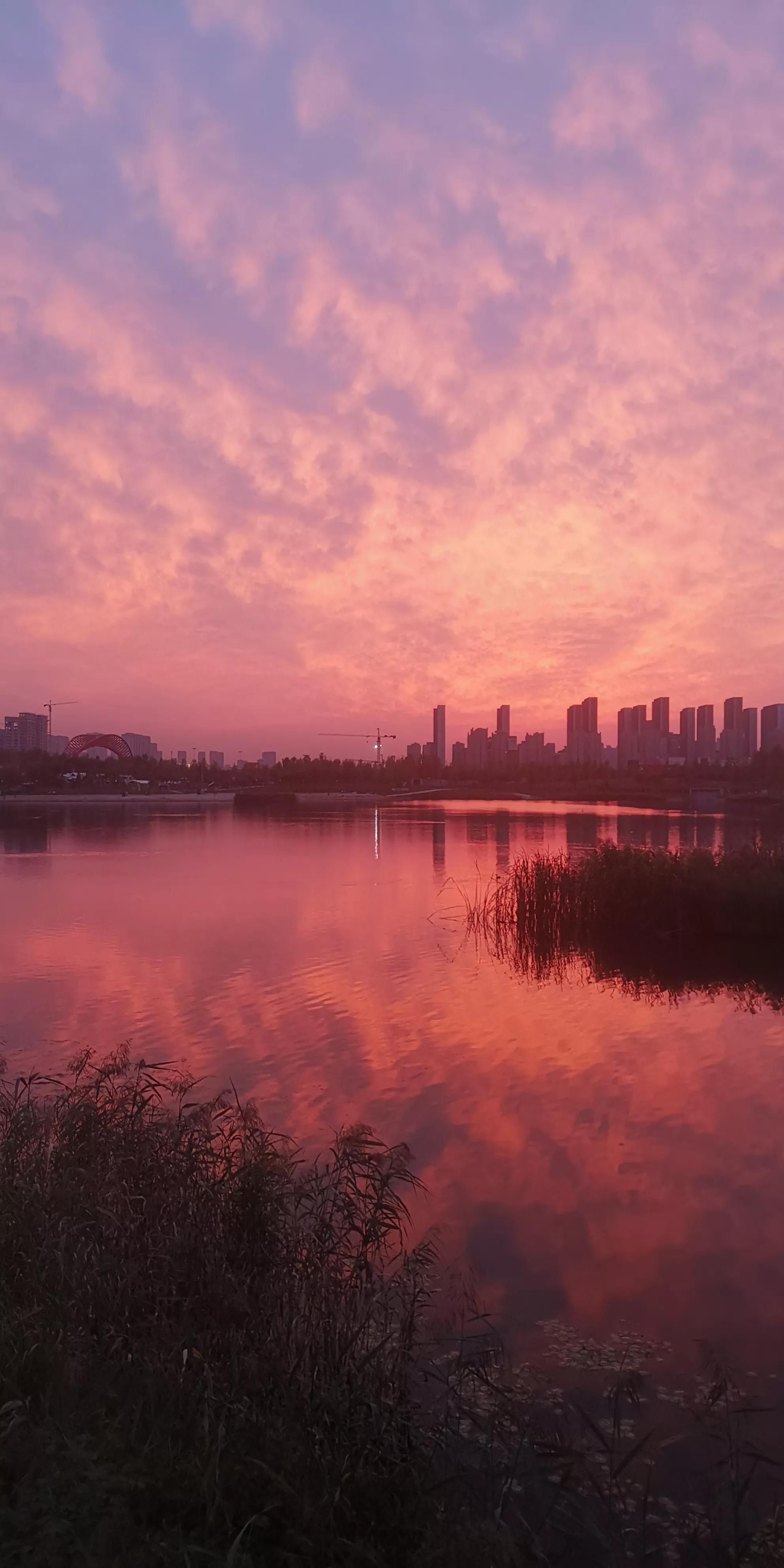 听不到蛙鸣了/艾林（外一首）