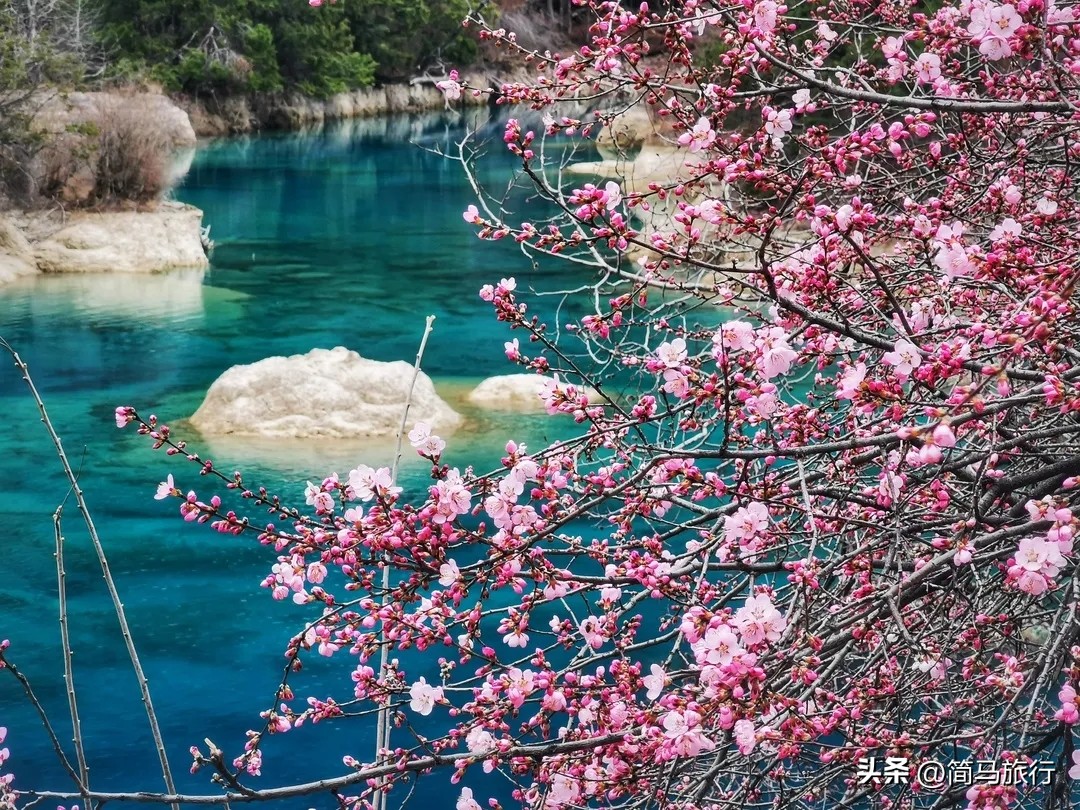 九寨沟旅游几天好,成都九寨沟旅游3-4天攻略最佳线路