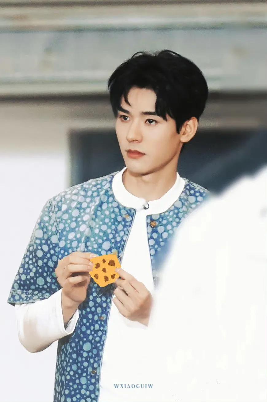 lv代言人名单,lv代言人全部名单国外