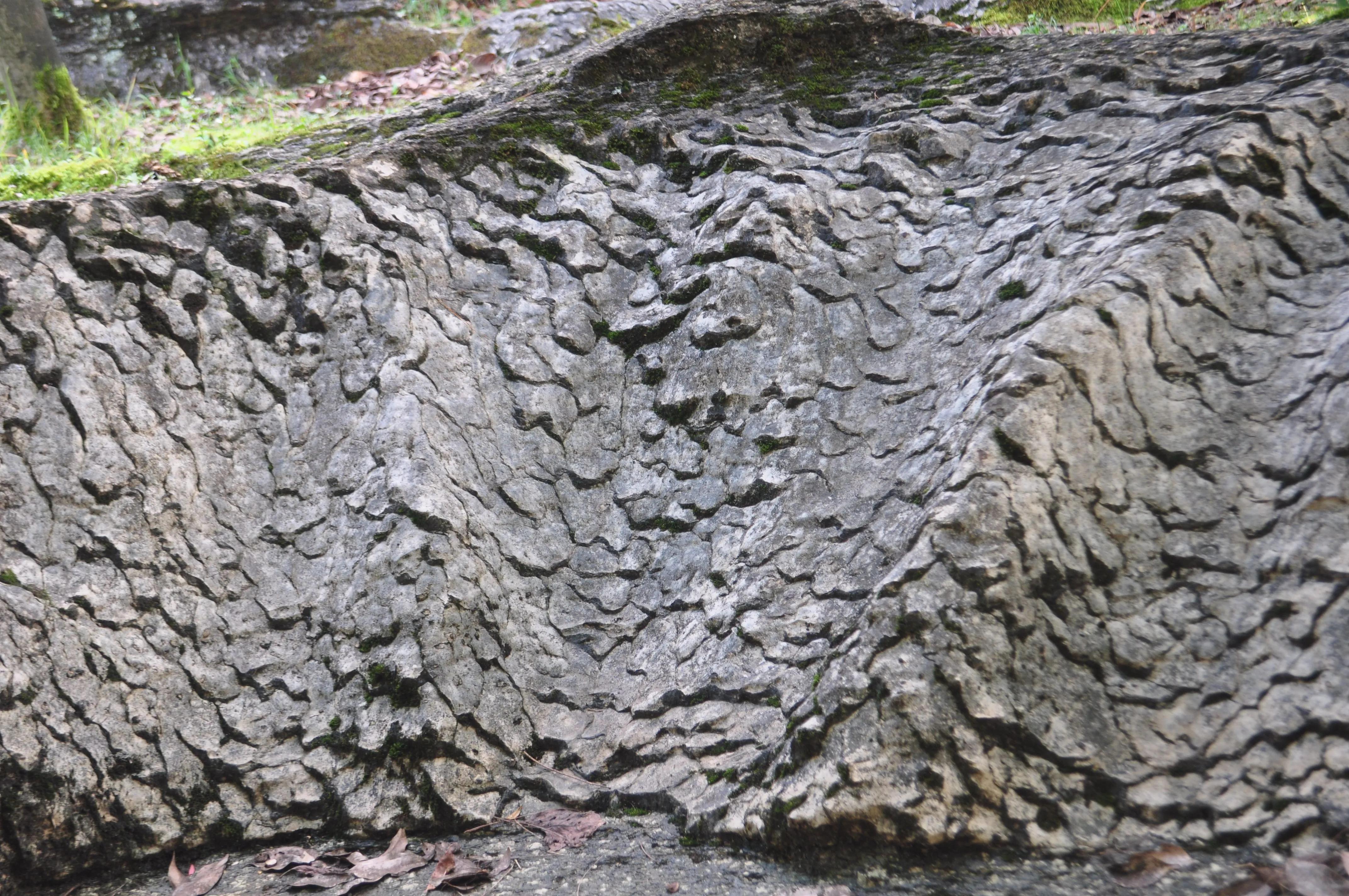 邵阳挖出龙的化石,湖南武冈挖出“龙身化石”