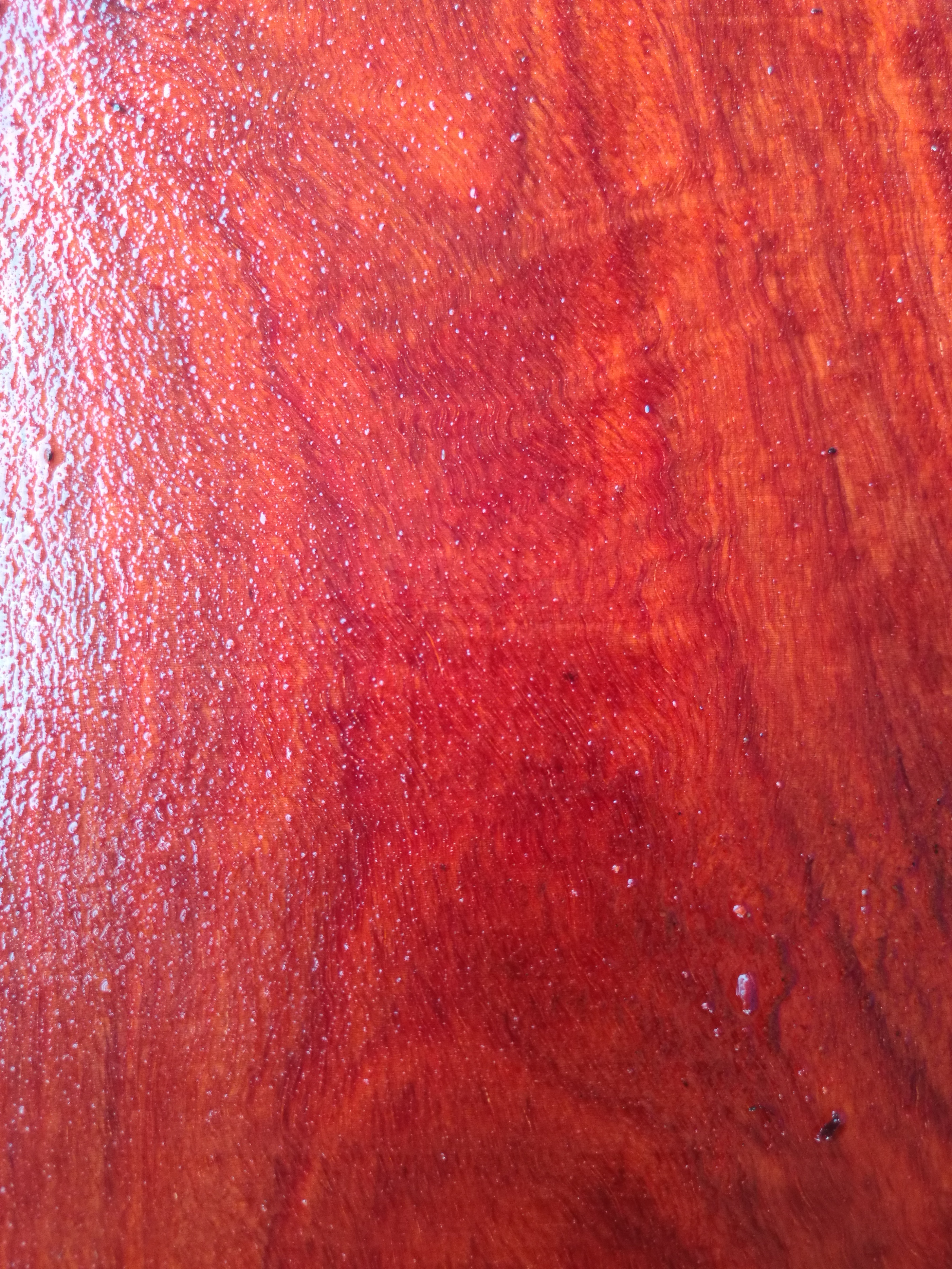 印度小叶紫檀与非洲小叶紫檀的区别