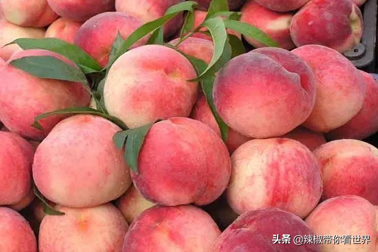 宁德大黄鱼之乡攻略,霞浦大黄鱼之乡图片