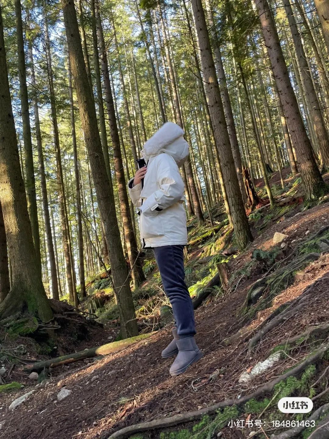 新加坡的风土人情美食,新加坡的美食跟中国有什么不一样