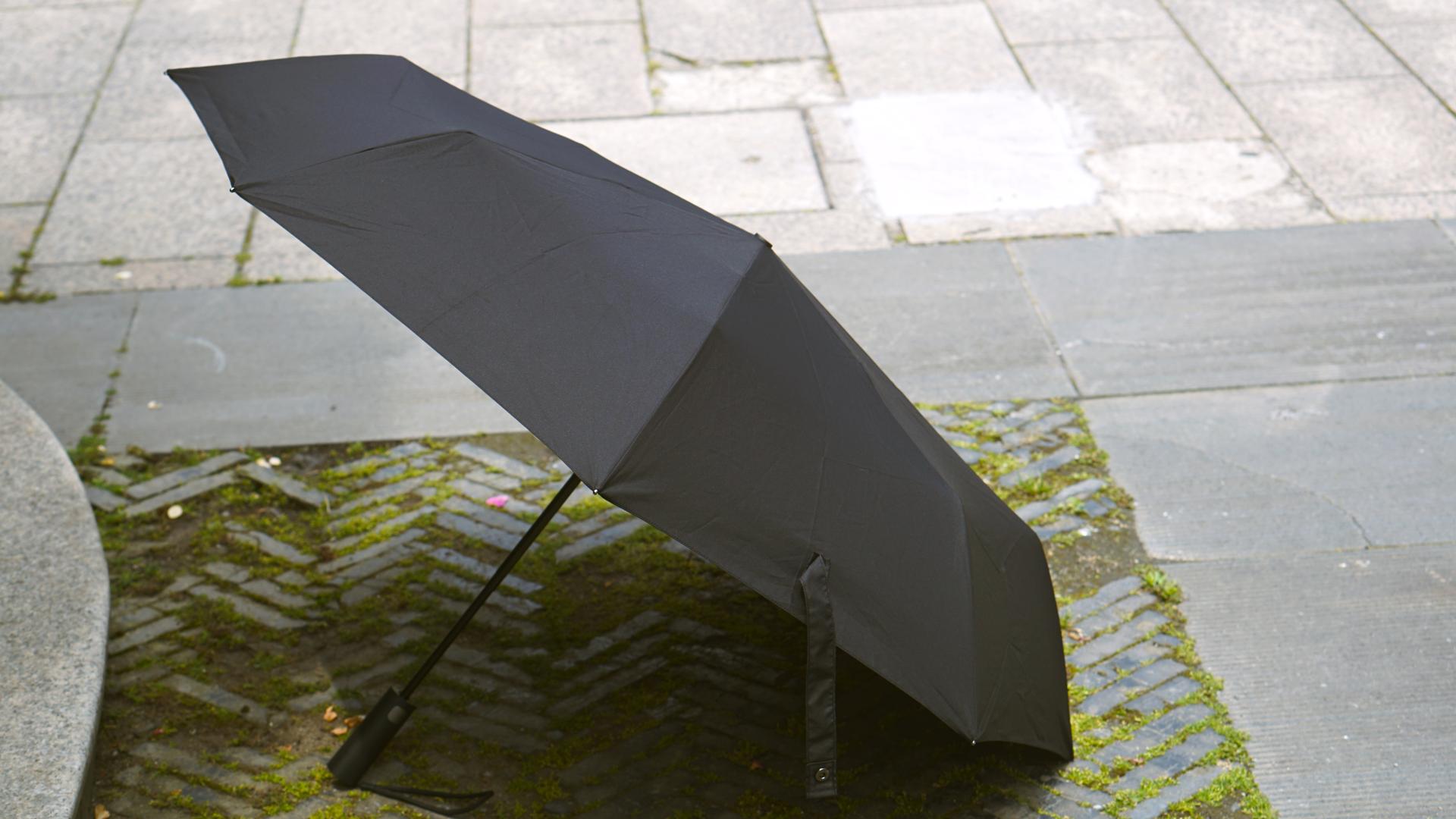 99元的伞,99元自动雨伞推荐