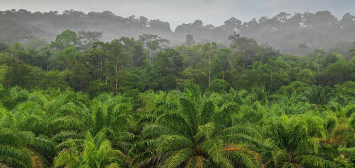 如果地球100年不下雨会怎么样,地球停止下雨100年会怎么样