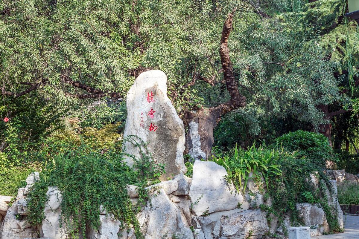 济南市区好玩免费的山,济南免费游玩的地方推荐