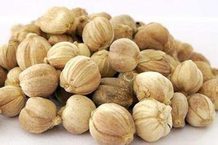 我国中药出口现状分析,中药材进出口情况