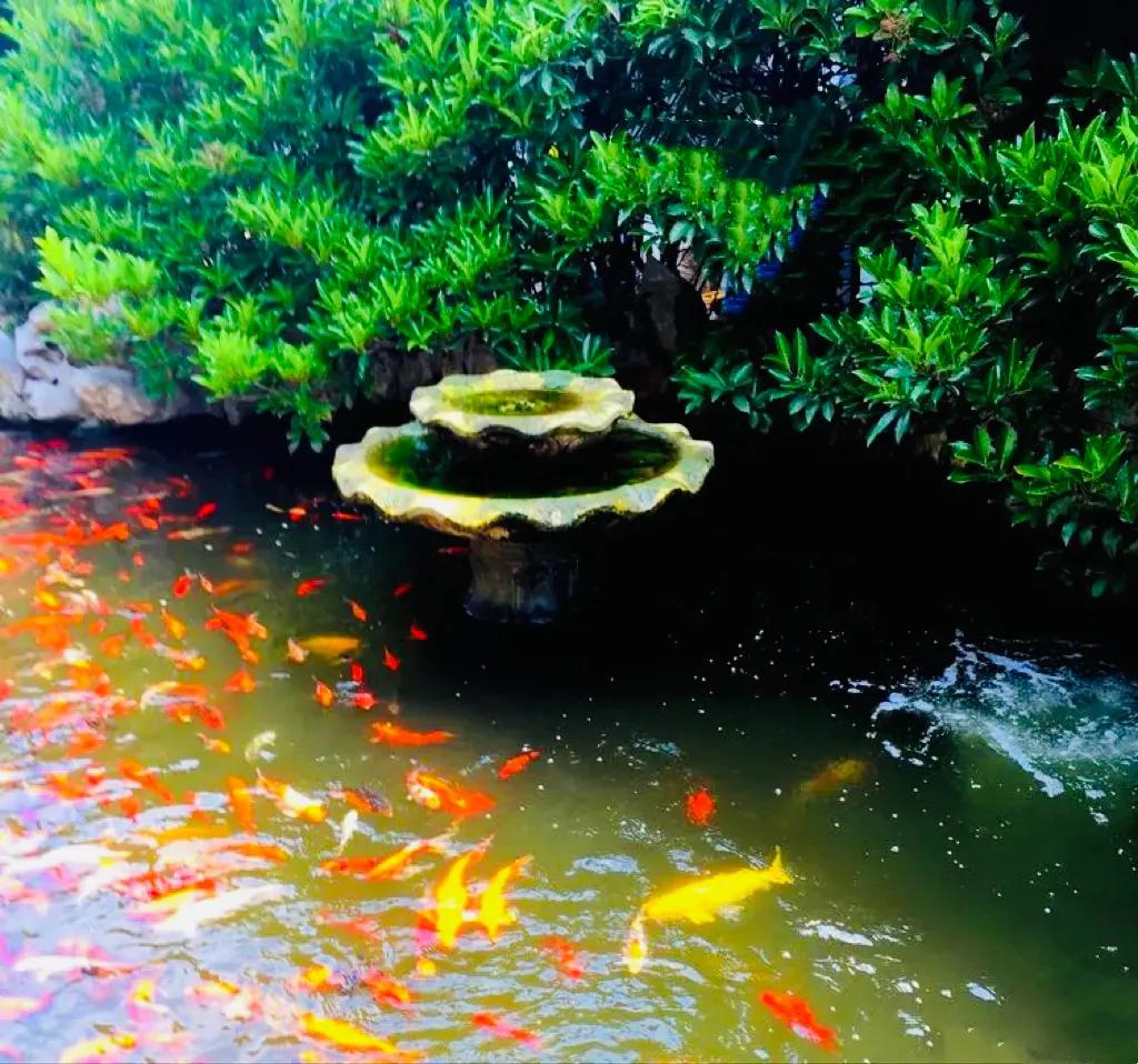 上海真如寺简介,上海真如寺方丈