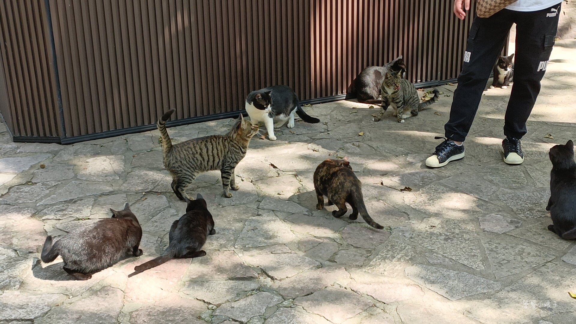 苏州太湖和无锡太湖哪个好玩,江苏无锡的太湖和江西太湖