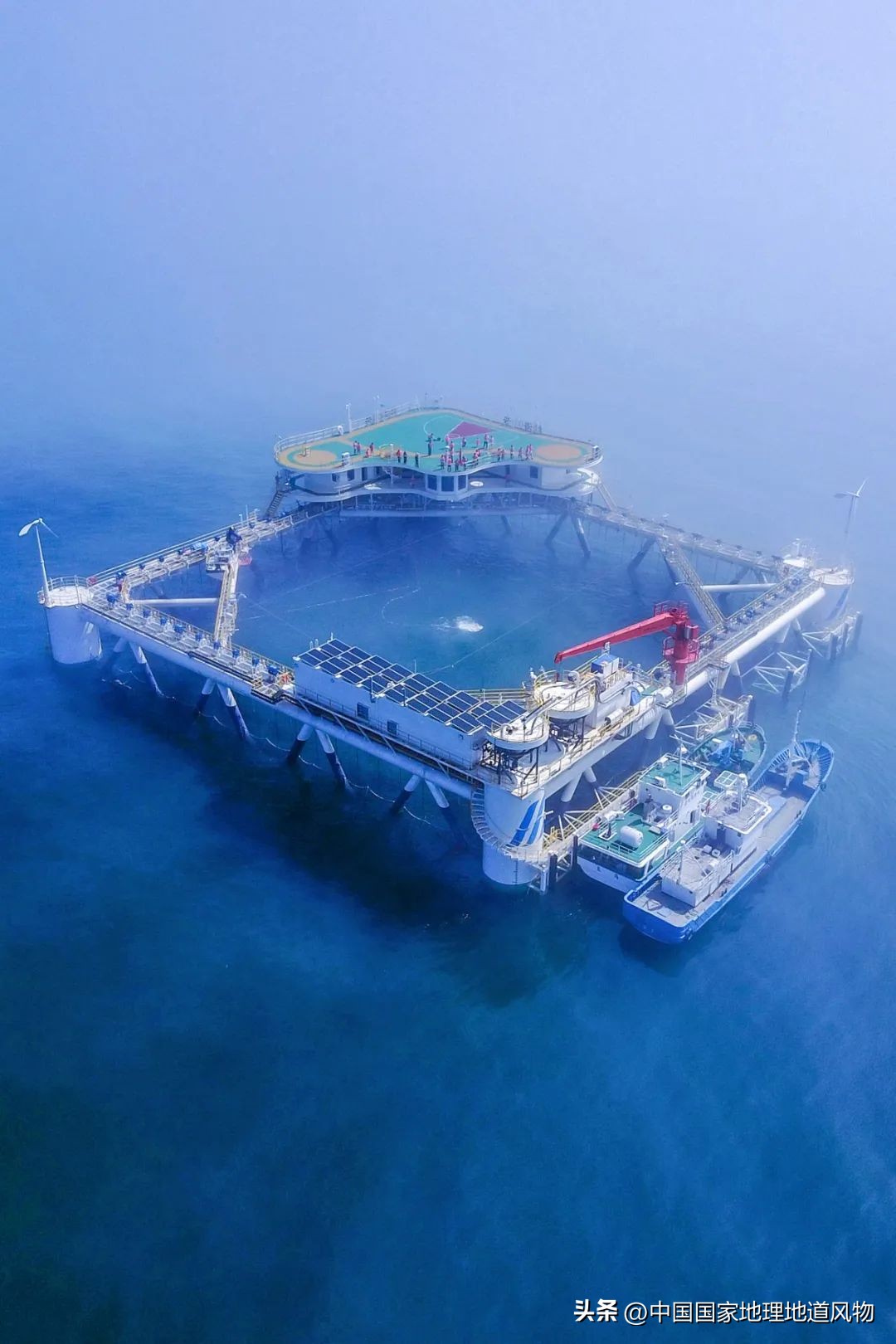 现在的海鲜什么比较好吃,中国哪的海鲜比较好