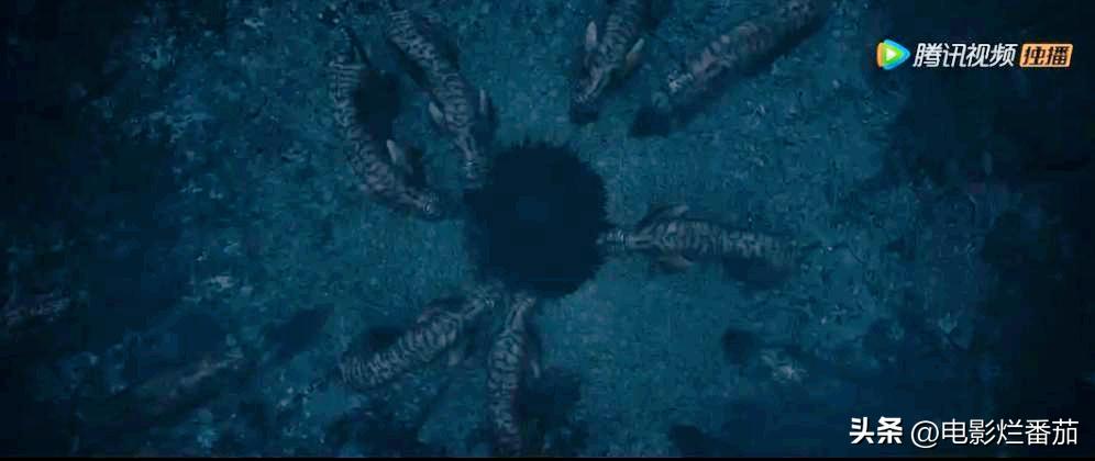 谢苗的电影为什么越来越好看了,谢苗扛起中国动作电影大旗