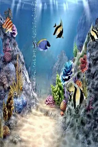 蓝色海景壁纸图片大全,海景壁纸4k超清全面屏