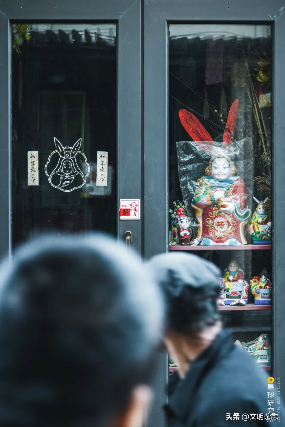 兔子来阳台,兔子来到新家