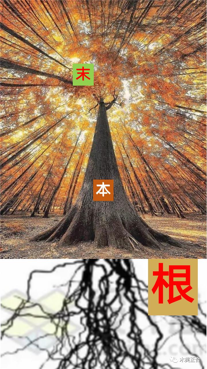 变辨辩~这个世界怎么了？