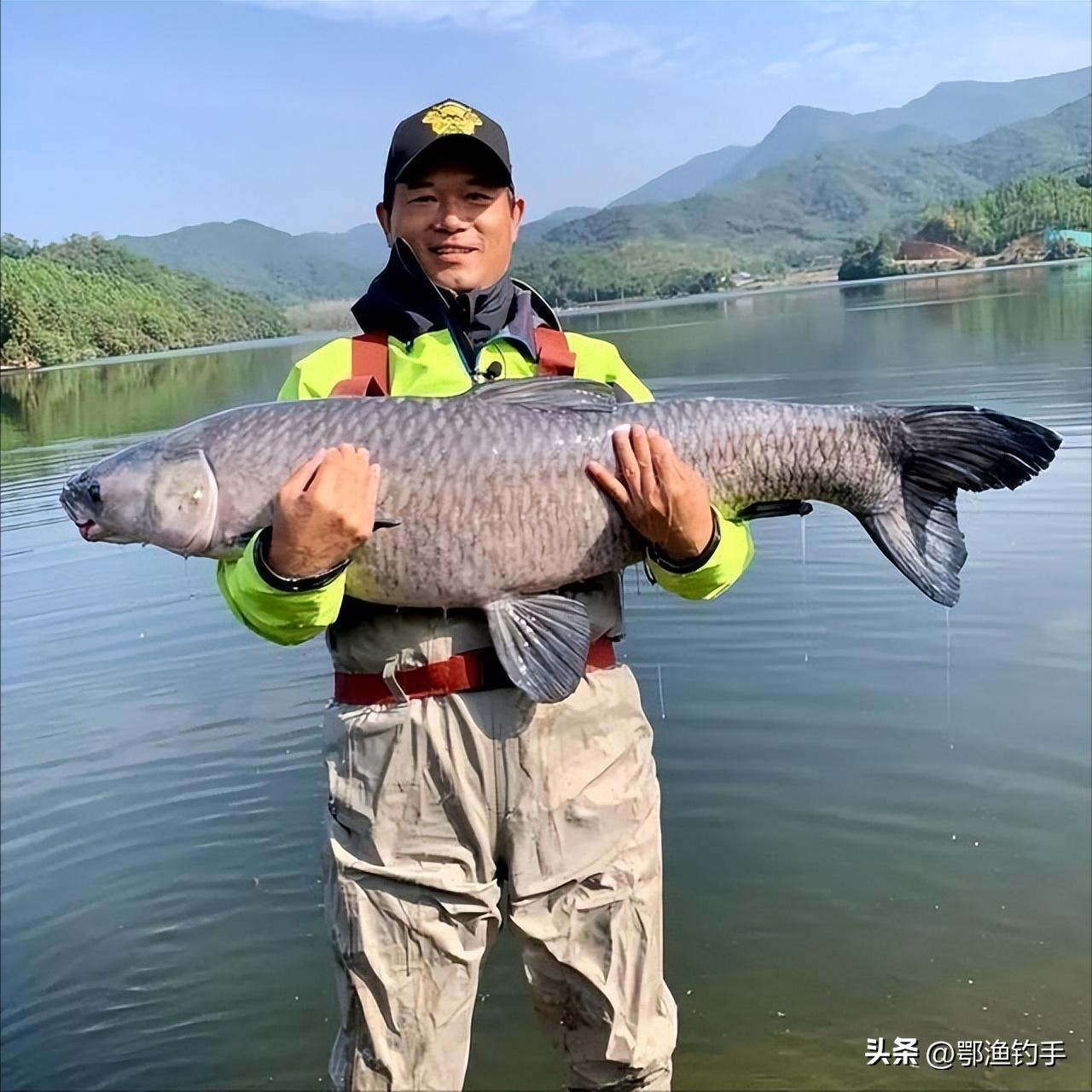 用钓技征服“渔乐圈”用盘老板“疯狂吸粉”用一包饵能否搞定你？