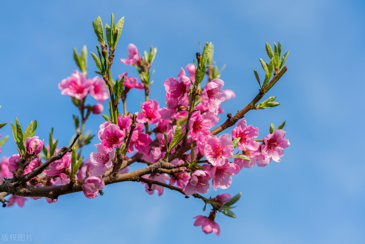 比较有诗情画意的五绝,最美五言绝句楷书古诗18首