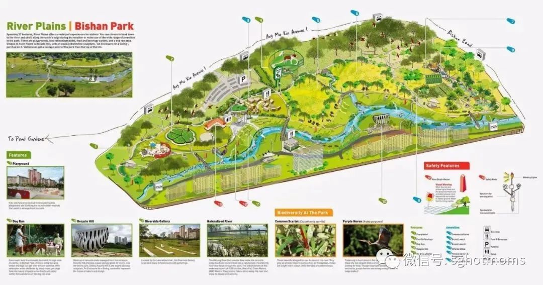 新加坡遛娃免费景点推荐一下,新加坡周末遛娃