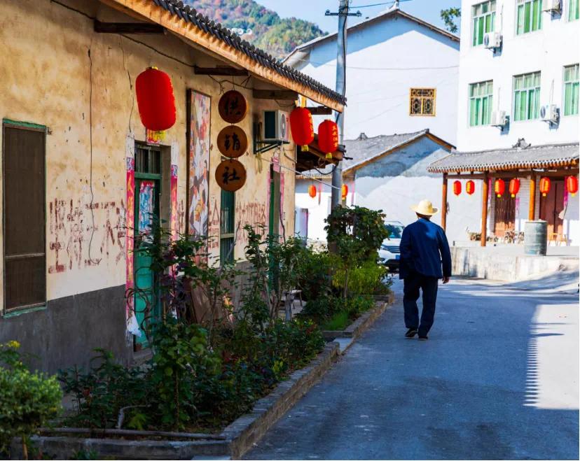 乡村旅游吸引游客的因素,农村像城市的村子