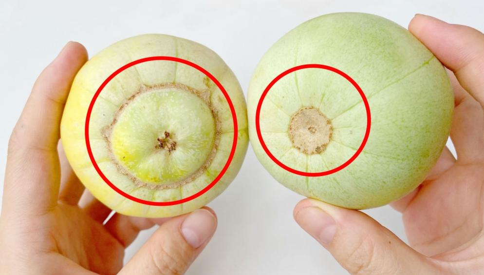 香瓜好不好吃怎么选,香瓜甜不甜完整版