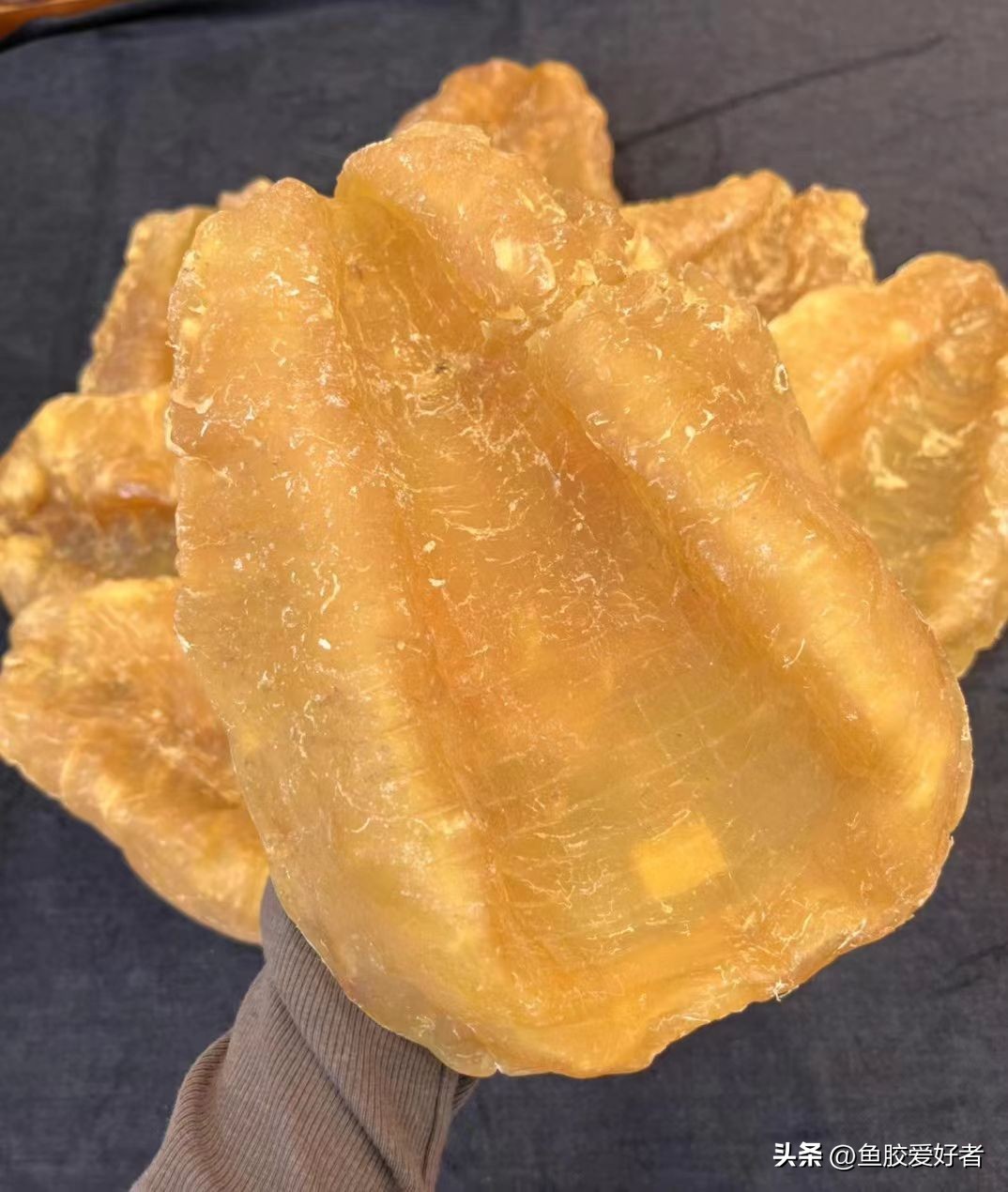 广东的鱼胶是不是智商税,吃鱼胶是交智商税吗