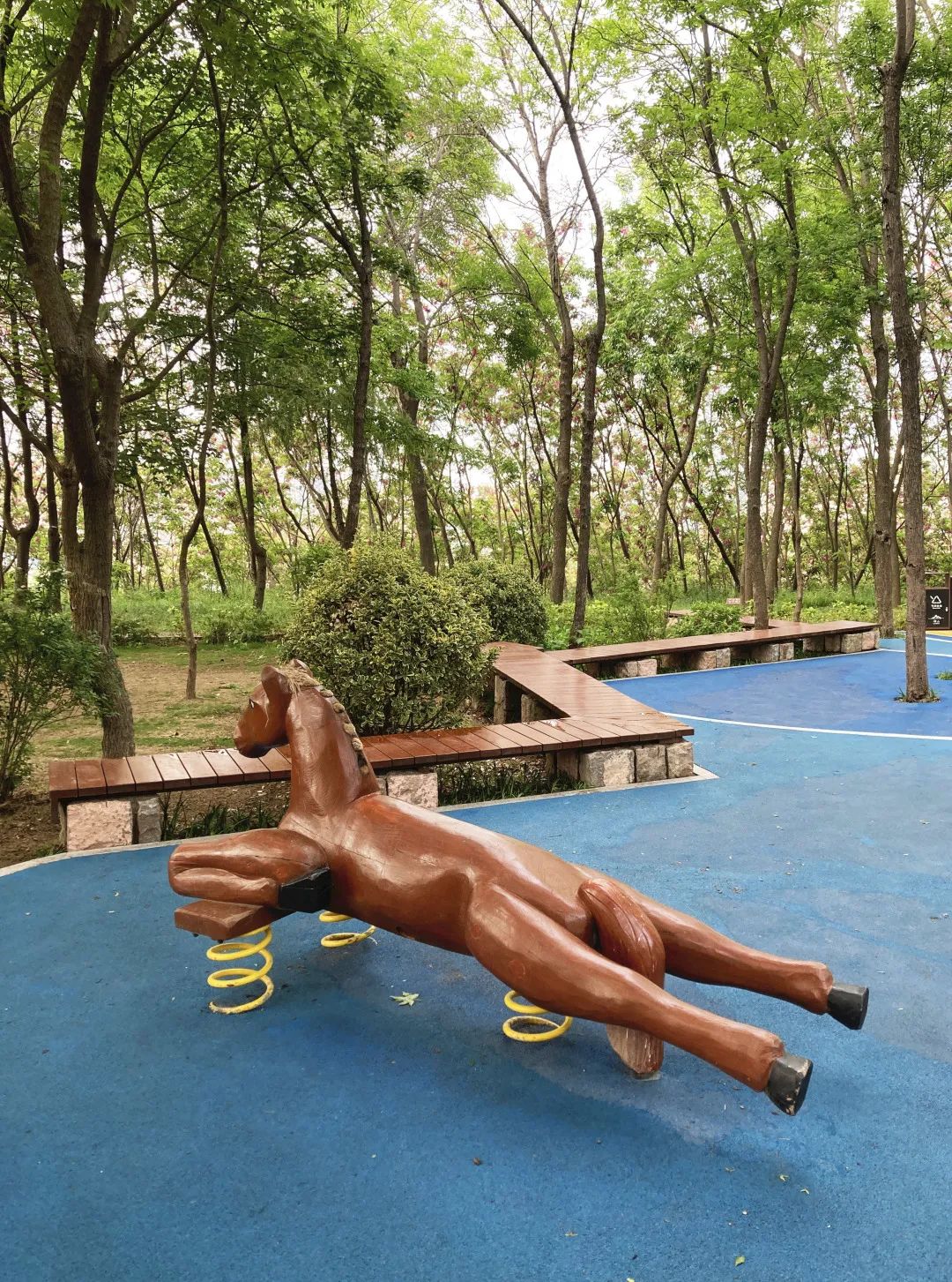 青岛浮山森林公园好玩吗,青岛浮山森林公园开放时间